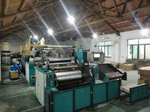 1000型全自動拉伸纏繞膜機(jī)